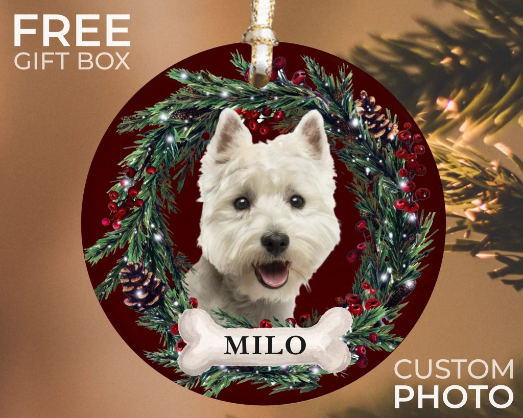 il fullxfull.4323505842 og49 scaled - Ornament Gifts
